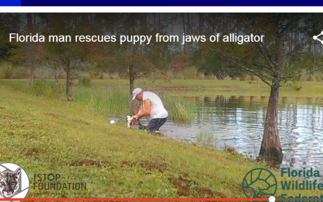 Man pried gator’s jaw open to save puppy