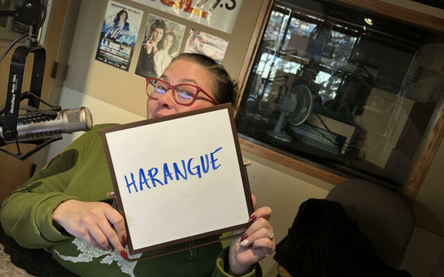 Word of The Day-Harangue